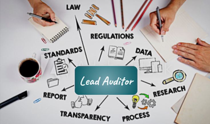 lead auditor graphic